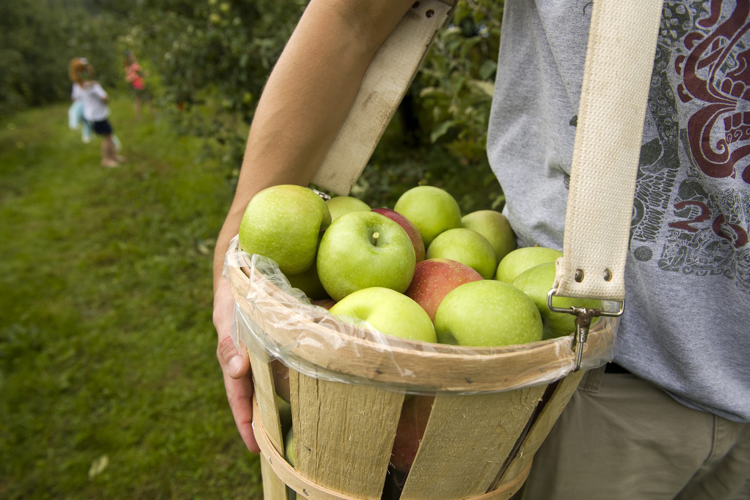 4 Pick Your Own Apple Recipes To Try This Fall