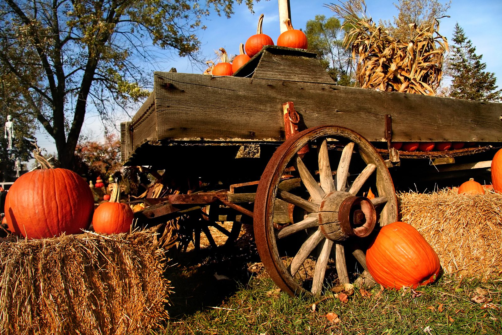Fall Fun in Berks County! Tailgate, pick your own apples and pumpkins, run the corn maze, or take a hayride at these local spots!