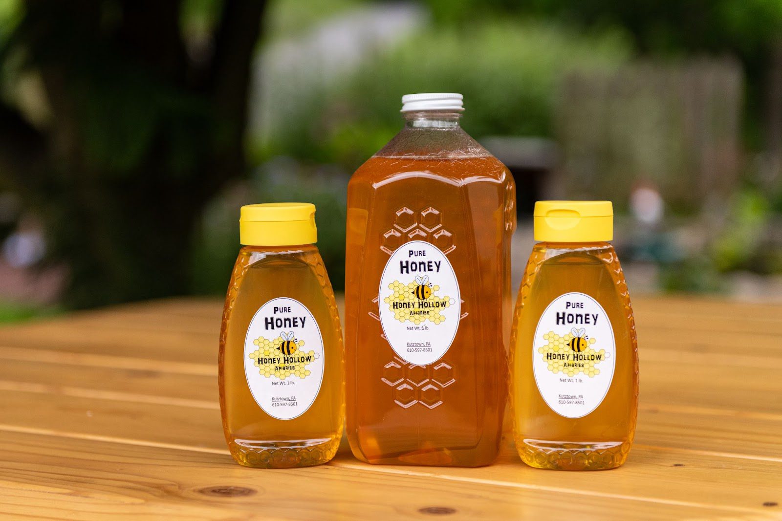 Celebrating National Honey Month