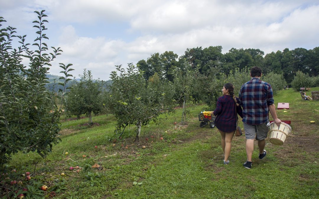 Local Fall Activities In & Around Berks County Farms