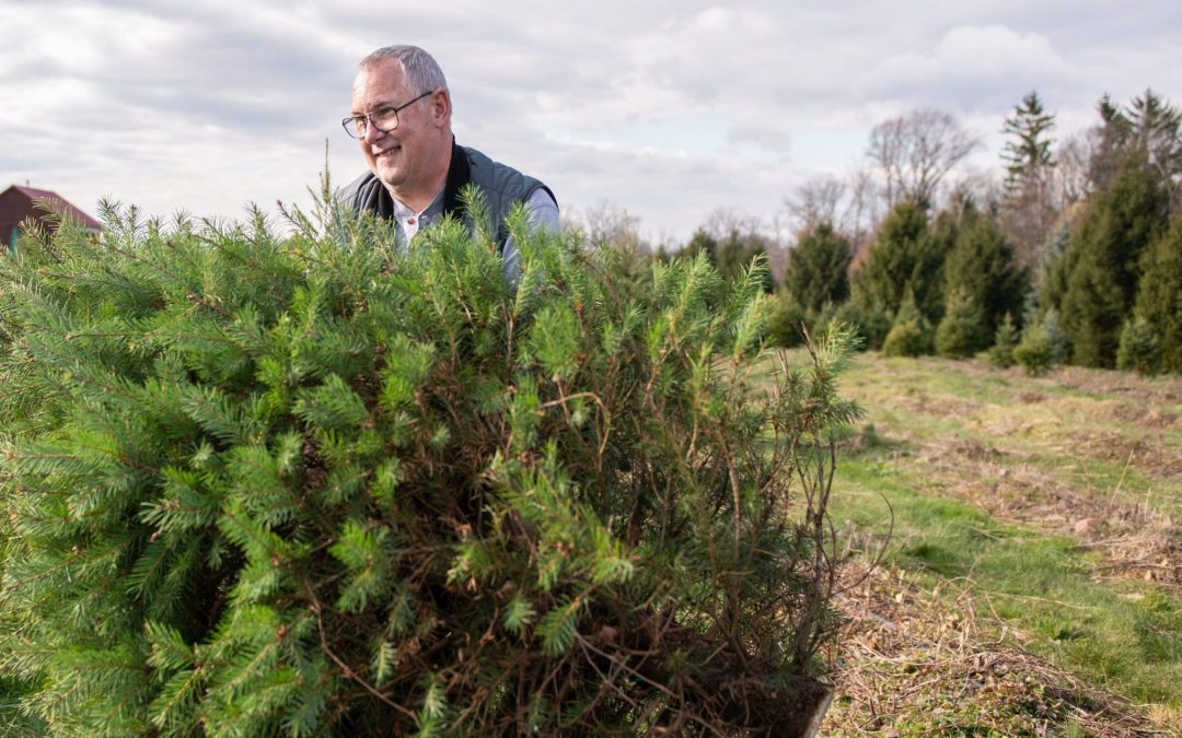 Rock Around the Christmas Tree at Plow Farms This Season!