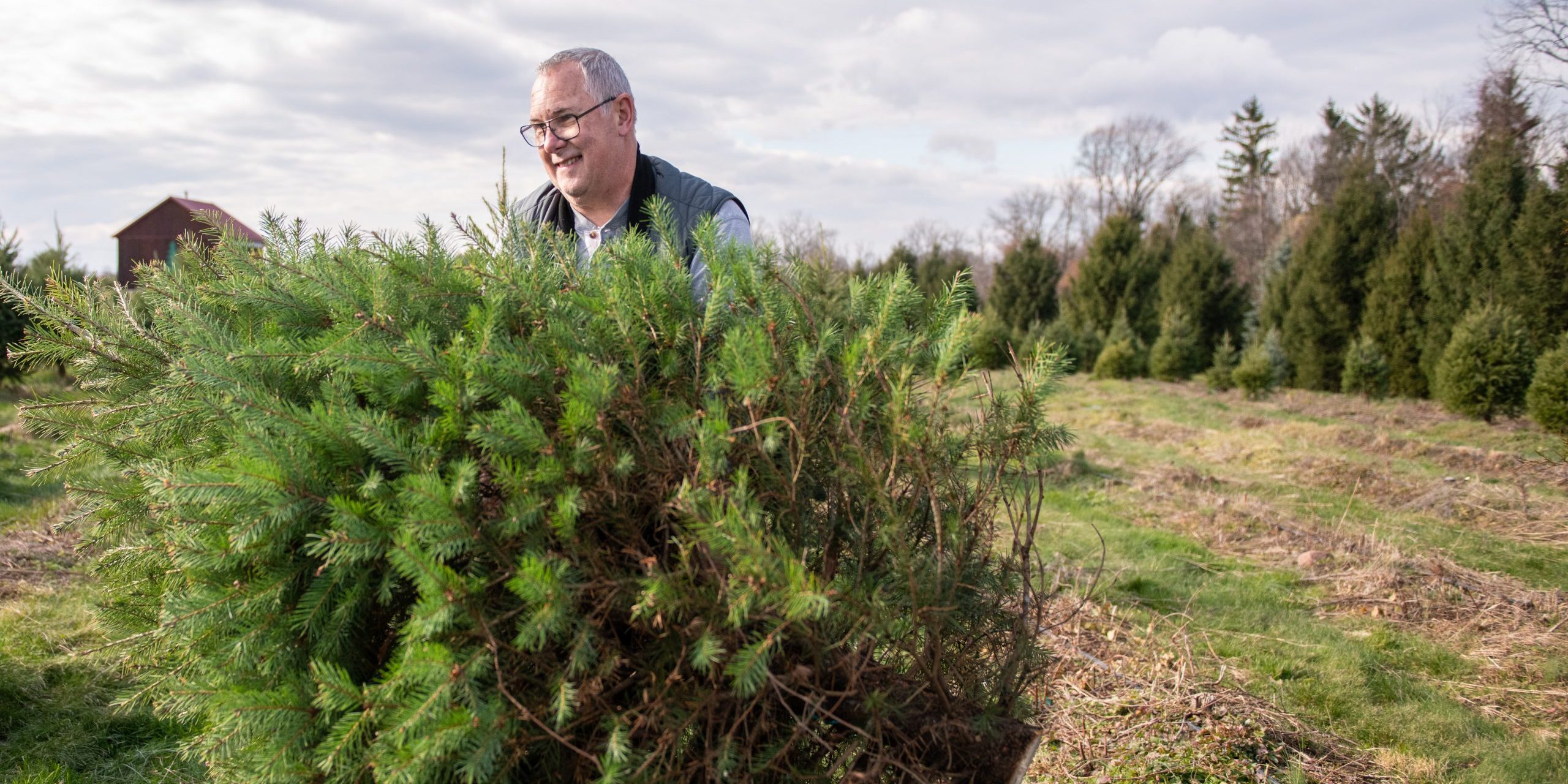 Rock Around the Christmas Tree at Plow Farms This Season!