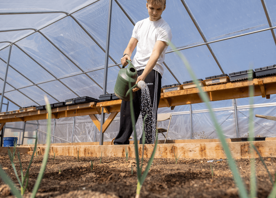 Bog Turtle Creek Farm Brings Fresh Produce to Reading, PA