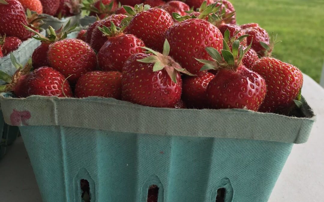 It’s Almost Time for Pick-Your-Own Season in Berks County!