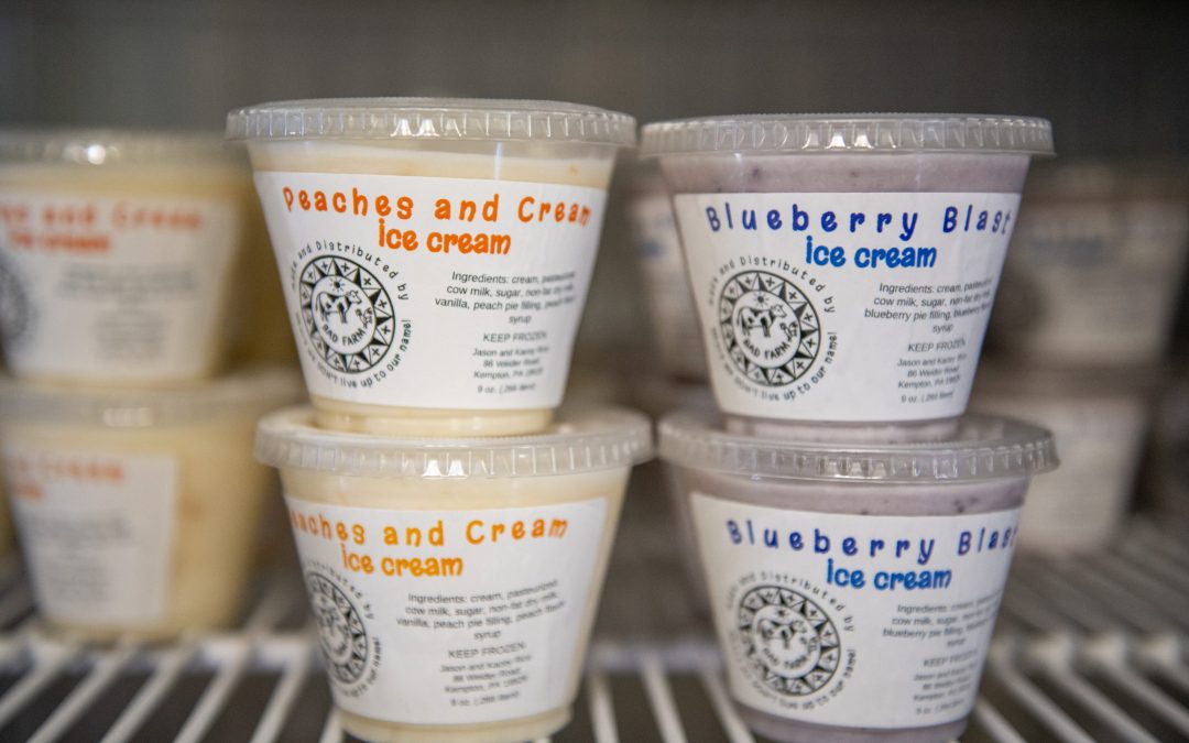 Celebrating National Ice Cream Month in Berks County