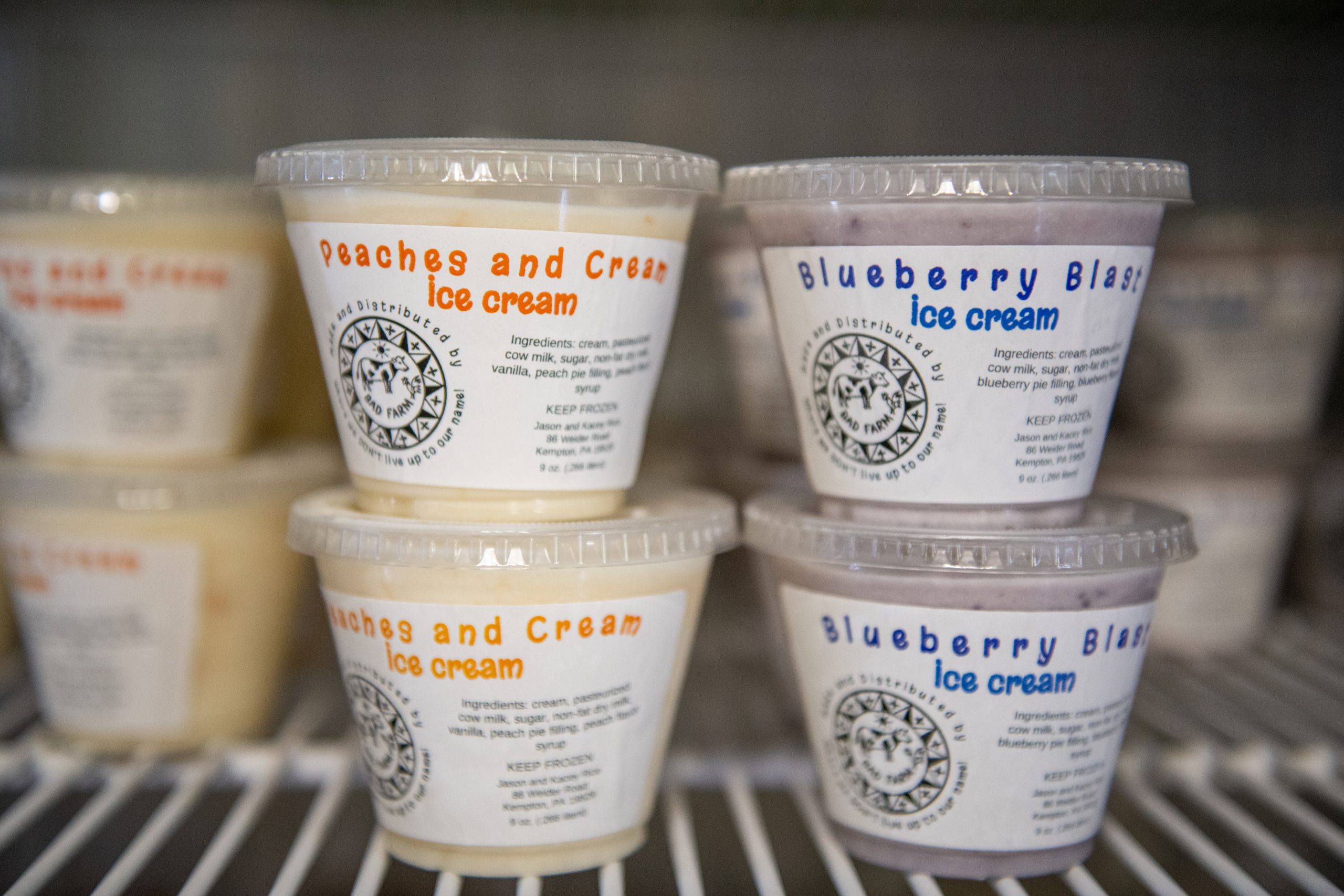 Celebrating National Ice Cream Month in Berks County