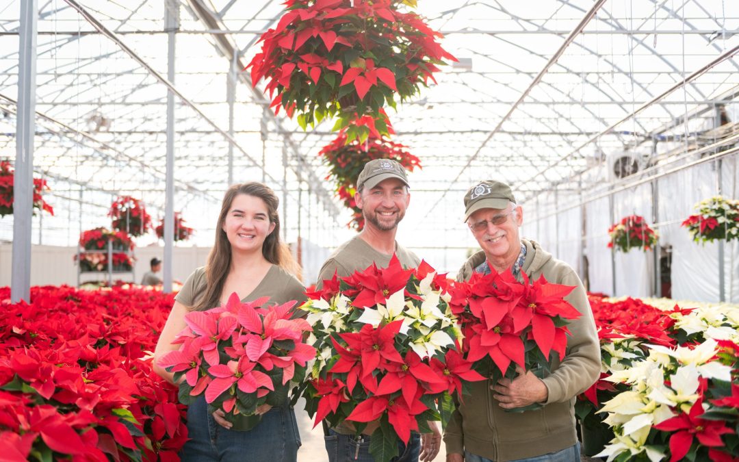 Celebrating Winter Wonders with Glick’s Greenhouse