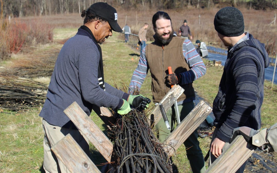 Agroforestry Work & Learn: Coppicing, Live Staking, and Basketry