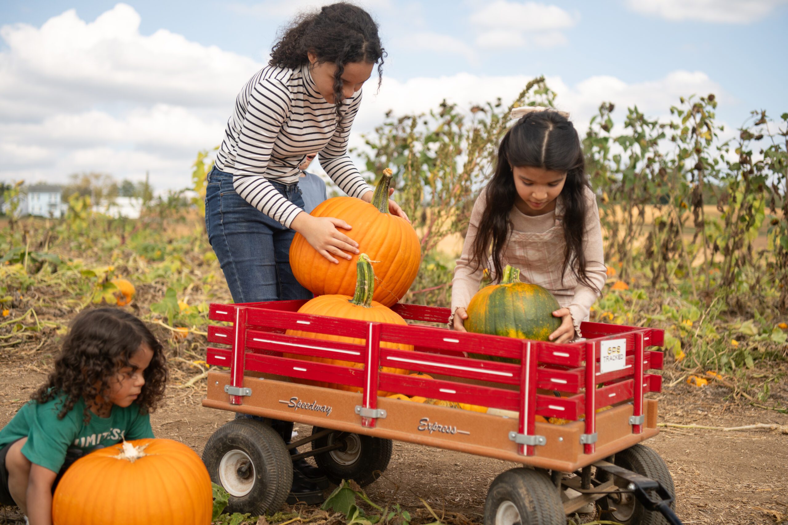 Celebrate Fall at Duncan’s Corn Maze!