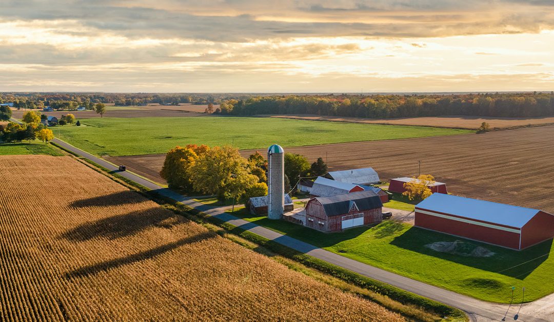 Growing Berks... is Growing! | Bountiful Berks