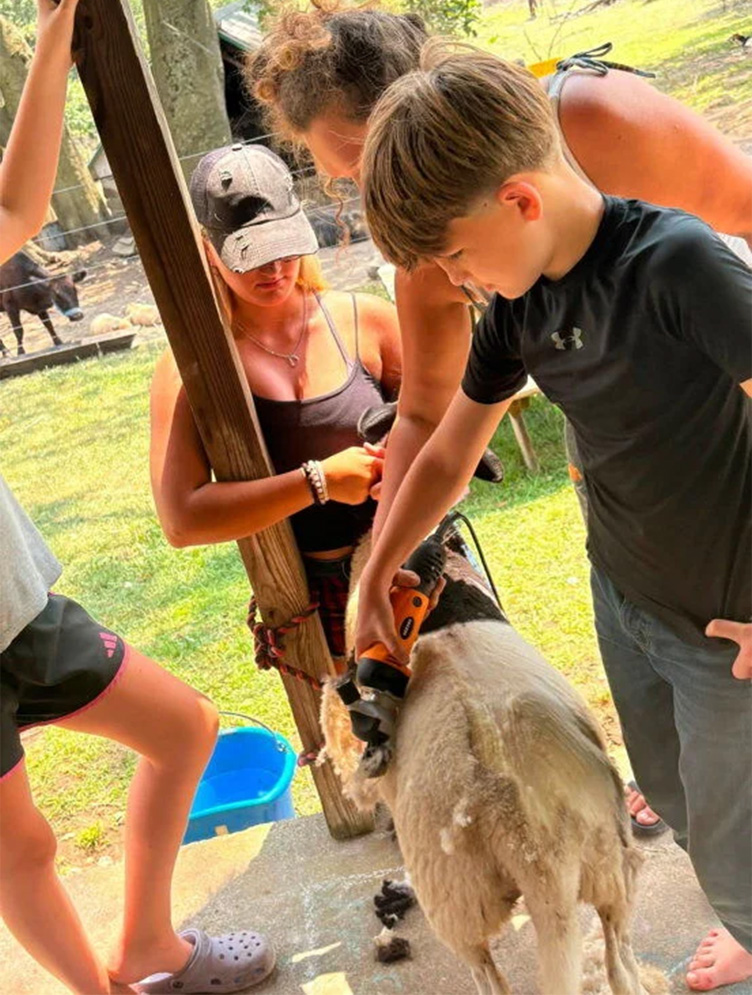 Berks County Heritage Homestead Diversifies for Farming Success by LancasterFarming.com | Bountiful Berks