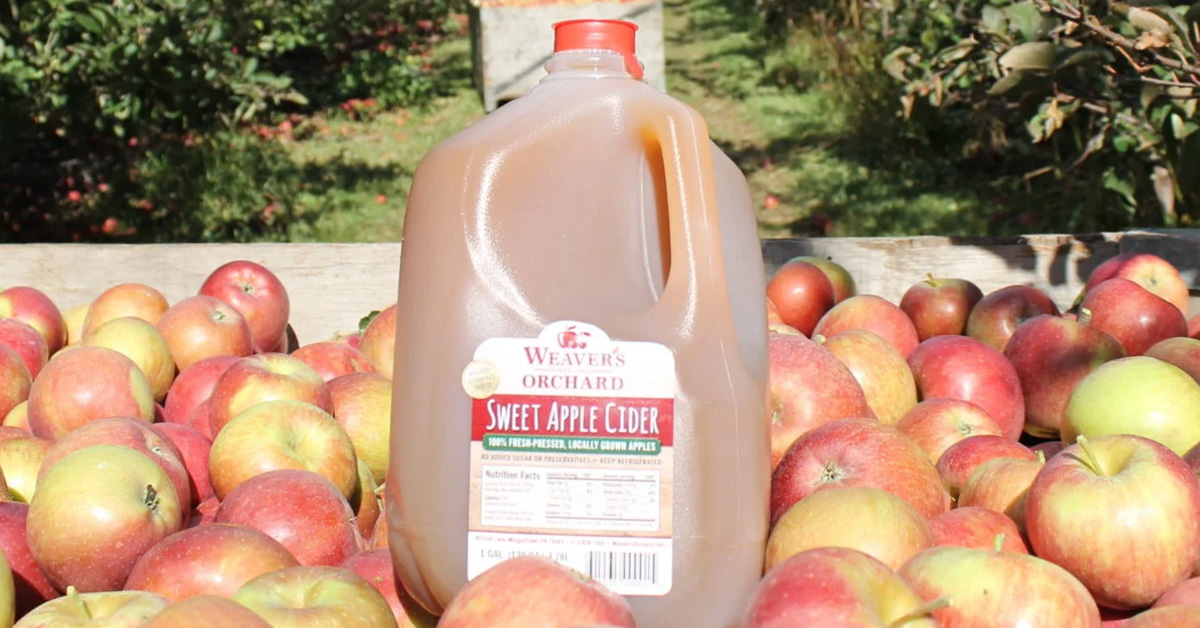 Fall Is Calling in Berks County, Check Out These Local Businesses | Bountiful Berks
