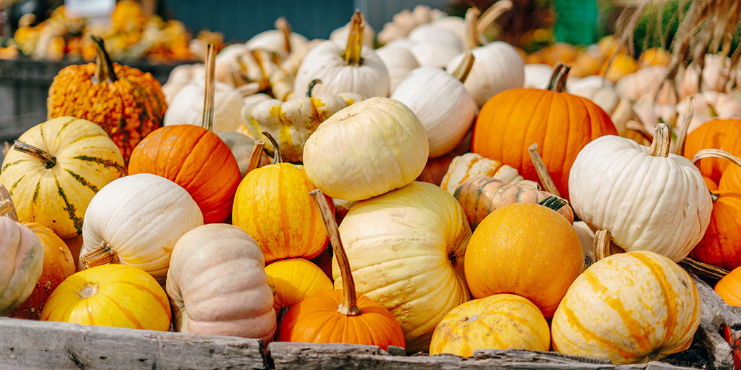 Support Family Farms, Buy Local